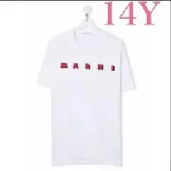 MARNI ロゴ Tシャツ ホワイト 新品未使用 14Y