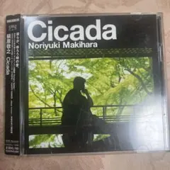 槇原敬之 Cicada SRCL 4539-4540