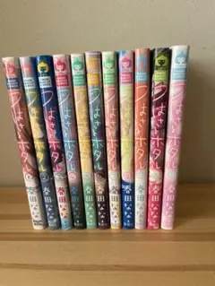 つばさとホタル 全11巻セット