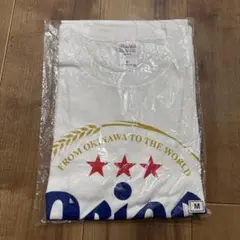 Printstar Mサイズ ホワイトTシャツ 沖縄のクラフト