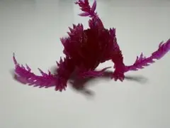 モンスターハンター スタンダードモデル 怨嗟響めくマガイマガド（クリアVer.）