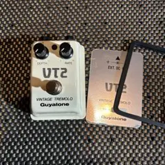 2025年最新】guyatone vtの人気アイテム - メルカリ