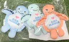 【カイのみ】ANA フライングホヌ　マスコット　2号機　カイ　先着順