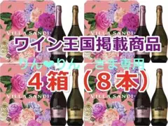 【4箱・計8本】イタリア最高峰スパークリングワイン 750mL×2本×4箱