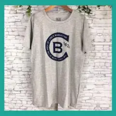 Active and Confortable (LL) Tシャツ　グレー