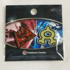 ポケモンセンター アクア団 マグマ団 ピンバッジセット