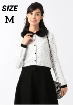 Item thumbnail for item b1300bf0-61fe-422b-b9cc-c6cb54b1826b