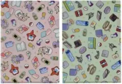 Contents of Trainer’s bag A4クリアファイル2枚セット