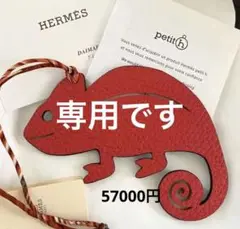 2025年最新】エルメス プティアッシュ カメレオンの人気アイテム