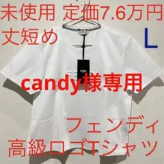 フェンディ fendi 未使用 ロゴTシャツ ホワイト 白Tシャツ サイズL