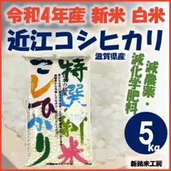 新米 近江コシヒカリ5kg 数量・期間限定 SK5