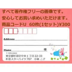 Item thumbnail for item 9baea8fd-a2be-48f5-968d-c4b8eb2bb867