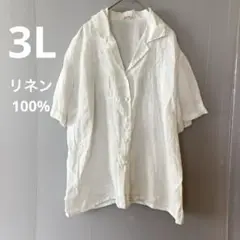 大きいサイズ 刺繍入り リネン100% ホワイト半袖シャツ 44