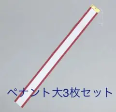 ペナント大　3枚セット⭐️新品　トロフィー　優勝旗