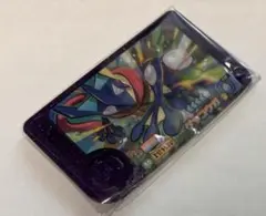 ポケモン　フレンダ　ゲッコウガ　スーパートレジャー