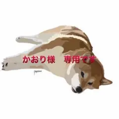 かおり様　専用です
