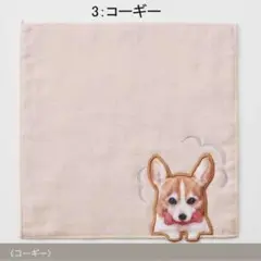 Item thumbnail for item 436424f8-7c89-4edd-967f-352f6f8a9de4