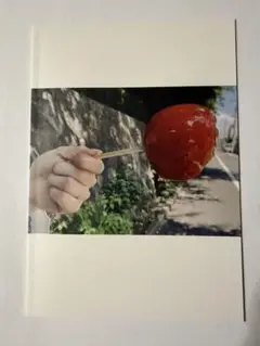 Item thumbnail for item 4f0ad3e0-ddce-4a8d-a190-5a67747bbd3c