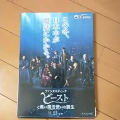 映画のチラシ２０枚