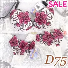 Item thumbnail for item 64e85328-feaf-4d24-863f-a0fa1a603930