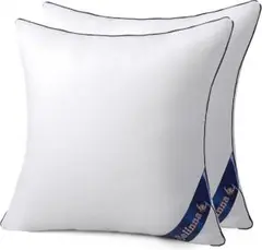 Item thumbnail for item c5d30ab5-b5de-4c19-bc9a-37f0bb4b378f