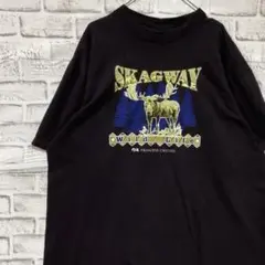 USA製90sヴィンテージTシャツ！シングルステッチ　ブラウン半袖古着XL27