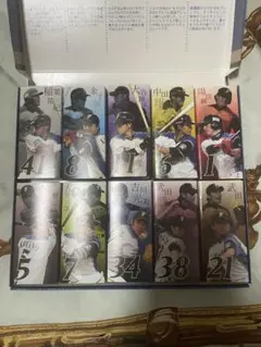 ロイズ　ファイターズチョコレートコレクション　大谷翔平