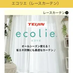 TEIJIN ecolie エコリエ 白 間仕切りカーテン 100×250