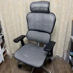 【超美品】Ergohuman Pro エルゴヒューマンプロ　ヘッドレスト有り