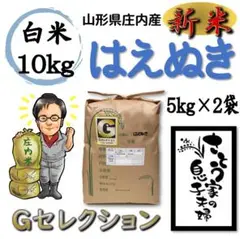 新米 山形県庄内産 はえぬき 白米10kg Gセレクション