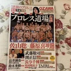 逆説のプロレス　プロレス道場幻想　vol.25 美品