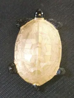 Item thumbnail for item b18d80ed-79b1-4844-83f1-9bbd1501b1cf