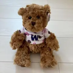 ワシントン大学　UW シアトル　ぬいぐるみ　熊　くま
