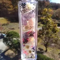 ピンク系⭐お姫様風♡ハーバリウム⭐ボトルフラワー⭐