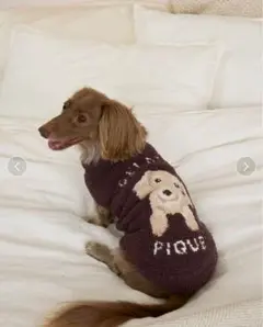 Item thumbnail for item b8d3b40b-b0e3-4773-9f98-e8bd68af2910