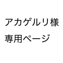 専用ページ