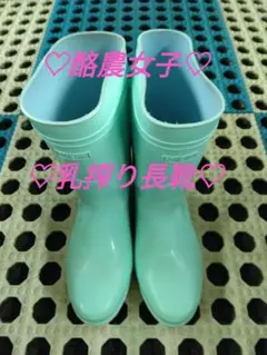 ♡酪農女子♡ ゾナ 衛生長靴 ミントグリーン 23cm 搾乳で使用