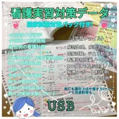 看護学生 実習対策 国家試験対策 USB