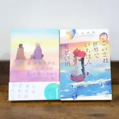 恋愛小説(単行本)2冊セット 「夜が明けたら、いちばんに君に会いにいく」ほか