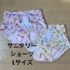 ツモリチサト サニタリーショーツ 新品 2枚セット L サイズ ワコール