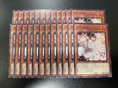 遊戯王　灰流うらら　ノーマル　24枚