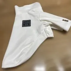 Item thumbnail for item 195a155d-dbd4-4669-8bcf-091a6434c591