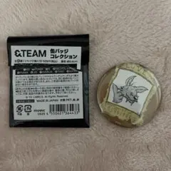 &TEAM 缶バッジコレクション　アニメイト