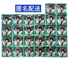 Item thumbnail for item 927db250-039a-428d-9ba9-9a74b7744767