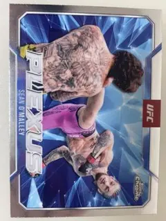 Item thumbnail for item 5f11bac1-1cee-4c58-9617-517db0ad9c04
