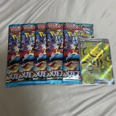 夏休み　ゲリラ 15