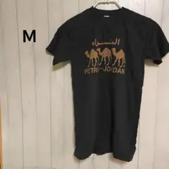 PETRA JORDAN キャメル ラクダ Tシャツ Ｍ 半袖 シリア ポップ