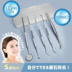 歯石取り 歯石除去 器具 自分 スケーラー 歯石 犬 自宅用 デンタルツール