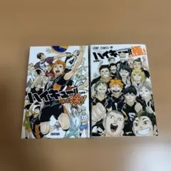ハイキュー援　ハイキュー極