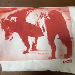 Supreme 赤い犬 プリント Tシャツ